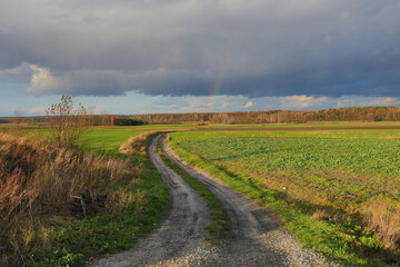 landscape in the country