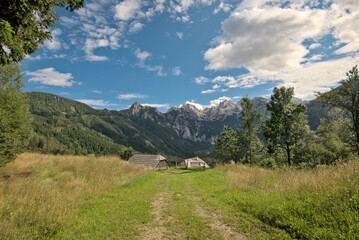 Stunning summer scenery with alpine meadows and  mountains in Austria. 