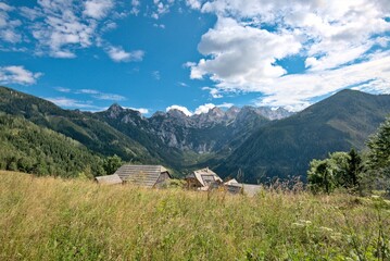Stunning summer scenery with alpine meadows and  mountains in Austria. 