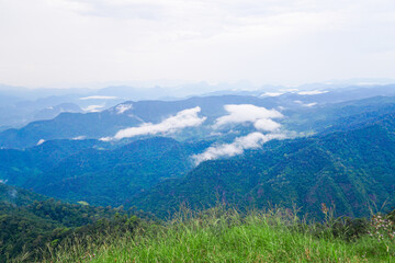 Obraz premium Breathtaking mountain vista with lush greenery and mist nature's splendor scenic overlook tranquil environment serene viewpoint for inspiration