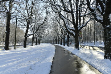 La piste cyclable d&eacute;gag&eacute;e de neige &agrave; l'avenue de Tervuren &agrave; l'entr&eacute;e de la for&ecirc;t de Soignes &agrave; Woluwe-St-Pierre (Bruxelles) 