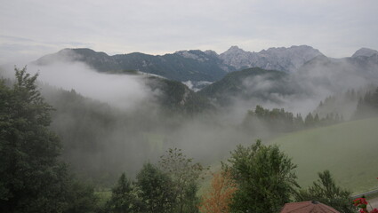 Foggy day in summer Alps. Slovenia.