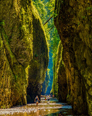 Columbia River Gorge, Oregon - about a dozen hikers in Oneonta Gorge, Columbia River Gorge National Scenic Area.