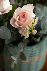 Rose in a flowerpot