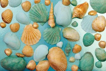 Artistic background with colorful shells