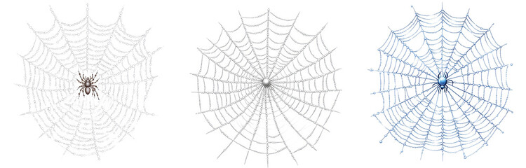 Obraz premium intricate spider webs with colorful highlights and detailed patterns transparent background