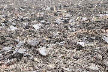A Plowed Agricultural Field Prepared and Ready for Planting New Crops and Vegetables