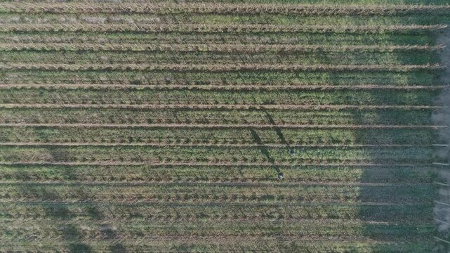 Vi&ntilde;edo desde arriba y personas caminando