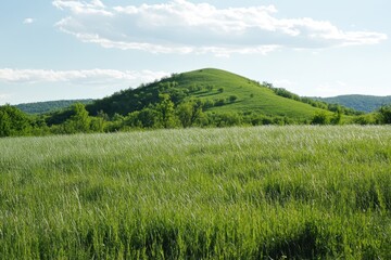 Obraz premium Lush Green Hill in Zagajicka Brda, Serbia: A Serene Spring Landscape Surrounded by Vibrant Forests and Rolling Grass