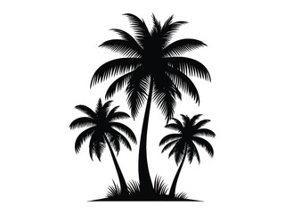 palm tree silhouette