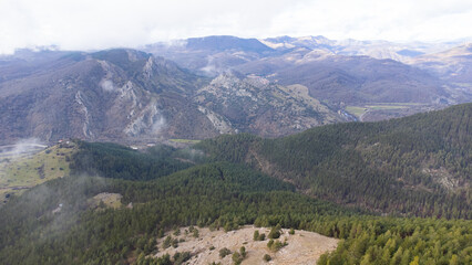Fototapeta premium Breathtaking aerial view of pine forest covering mountain slopes in cistierna, spain