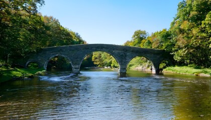 Fototapeta premium bridge over the river