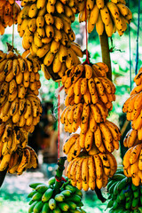 a bunch of bananas