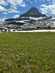 Fototapeta premium Logan Pass, Going to the Sun road in Glacier National Park, Montana.