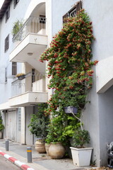 Tel Aviv Israel 2024. City on the Mediterranean coast.