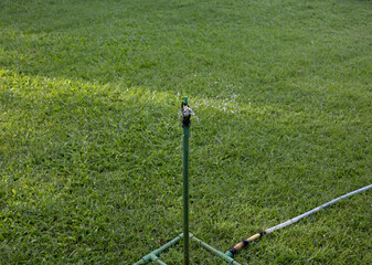 Obraz premium A green automatic watering can stands on a green pole in the middle of a field of grass. The water splashes, creating a refreshing mist in the air. Garden photo