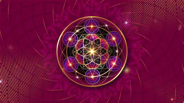 Video animation Metatron's Cube, Flower of Life. Golden Sacred geometry, graphic geometric torus, purple background. Mystic gold icon platonic solids, abstract geometric drawing, crop circles