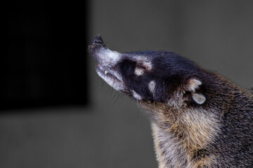 Naturaleza © Ignacio