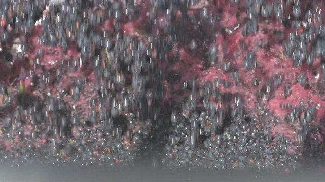 Uvas cayendo para hacer vino