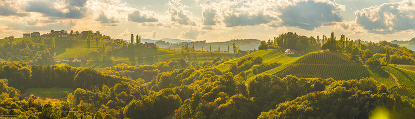 Panorama of Vineyards along the South Styrian Wine Road in Summer, Austria Europe