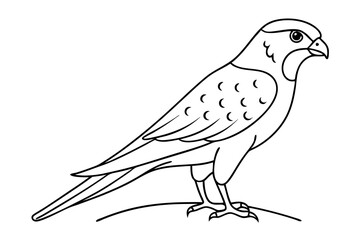 Fototapeta premium Minimalist Line Drawing of a Kestrel Elegant Bird Illustration in Artful Simplicity