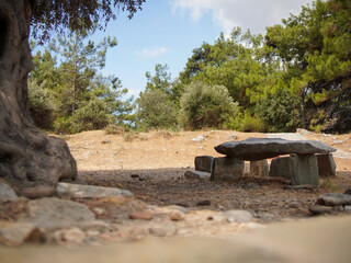 Obraz premium A rustic stone bench rests in an archeological site. The setting is dry and sunny, with ancient stonework and mature pine trees surrounding the bench. The light suggests it is midday.