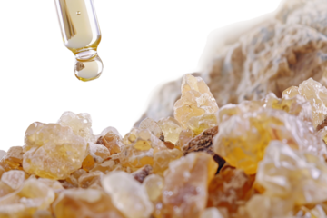 Clear Frankincense Essential Oil Dripping from Dropper Isolated on Transparent Background