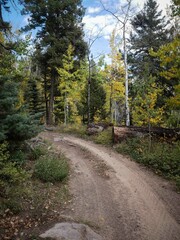 Obraz premium ATV trail through San Juan National Forest in southern colorado in autumn with fall colorso