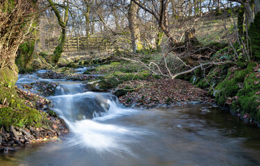 Obraz premium river in flow