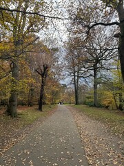 Obraz premium Autumn scenes 