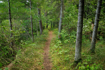 Obraz premium Isolated Path