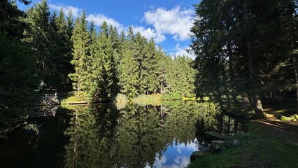 Obraz premium Die Wasserspiegelung