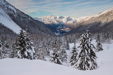 Scenic landscape in snowy winter scenery with soft snow covered trees and peaks by, Orobie alps, Lombardy, Italy