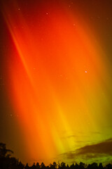 aurora on a sky