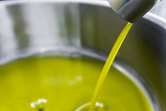 Raccolta delle olive e produzione olio extravergine di oliva in puglia, italia