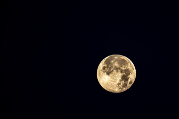 Fototapeta premium Beaver Super Moon morning of November 16, 2024