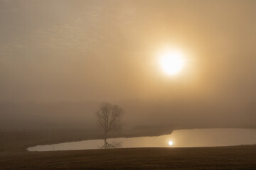Foggy sunrise over a tree and pond in November with copy space