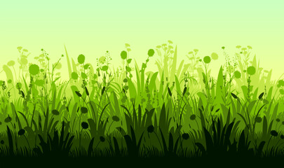 Meadow. composition seamless. Rural summer grass and wild flowers. Thickets for pasture or haymaking.