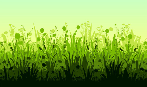 Meadow. composition seamless. Rural summer grass and wild flowers. Thickets for pasture or haymaking.