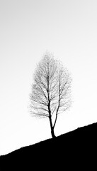 silhouette albero