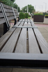 A bench in the park on a cloudy day