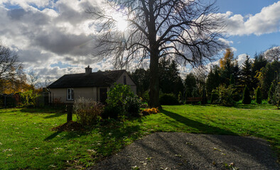 Obraz premium old house in the woods