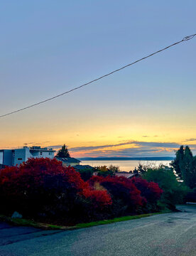 Ballard