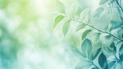 Soft hues of green and blue creating an abstract nature-inspired corporate background