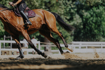 A powerful horse gallops with a rider in a vibrant equestrian setting. The image captures the...