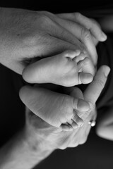 Black and white shade beautiful shape hands mother, hold tiny newborn baby feet