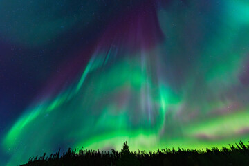 Colorful Aurora Borealis, Northern Lights, at Yellowknife, Northwest Territories, Canada