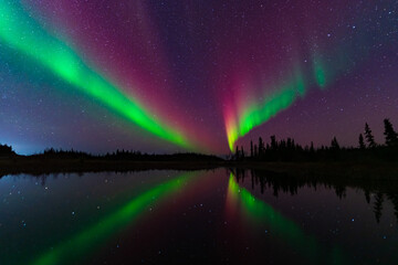 Colorful Aurora Borealis, Northern Lights, at Yellowknife, Northwest Territories, Canada