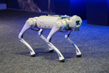 Gray military robot dog at a demonstration