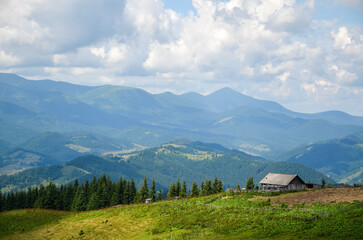 Beautiful Chornohora mountain range with a wooden shepherd house nestled among lush green fields...